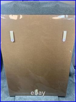 ANDY CRUZ House Industries Founder SIGNED POSTER Frank Lloyd Wright Foundation