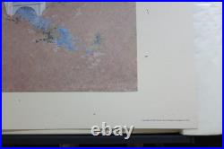 Frank Lloyd Wright Architectural Perspective Portfolio Limited Edition of 480
