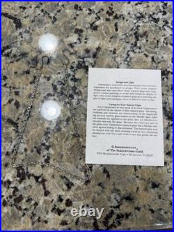 Frank Lloyd Wright Collection Saguaro Stained Glass Window Panel Multicolor