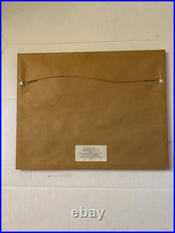Frank Lloyd Wright FALLING WATER / FALLING WATER PRINT Matted & Framed MoMA VTG Frank Lloyd Wright FALLING WATER / FALLING WATER PRINT Matted & Framed MoMA VTG