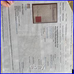 Frank Lloyd Wright The Industrial Revolution Runs Away