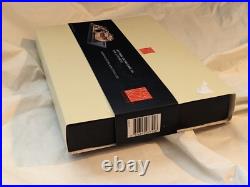 Frank Lloyd Wright Unity Temple Wood Scale Model Replica Kit Oak Park IL NEW