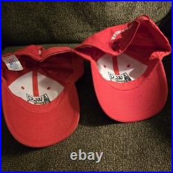 LOT x2 Vintage Frank Lloyd Wright'WING' Embroidered Hat Glencoe IL Baseball Cap