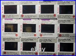 Peterson Cottage Lake Delton, WI Architecture F. Wright 35mm Glass Slides Lot 27