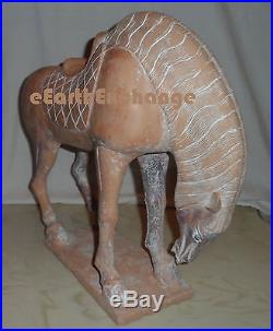 Tang Horse Frank Lloyd Wright Collection 13 Tall Horse Statue