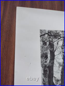 Vintage 1988 Frank Lloyd Wright Pettit Chapel Poster 24 x 18