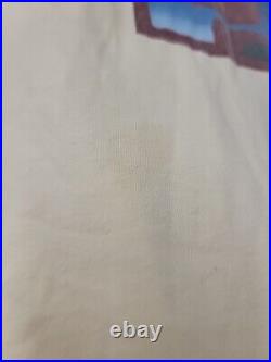Vintage Frank Lloyd Wright Falling Water Graphic Single Stitch USA Made Tee XL