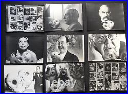 W Glen Davis / Group of 40 original photos of Bursztynowicz sculpted pebble